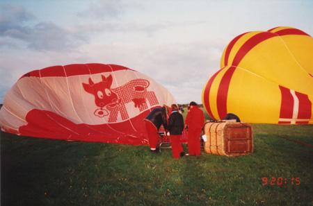 dm199214