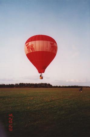 dm199217