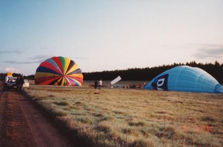 dm199220