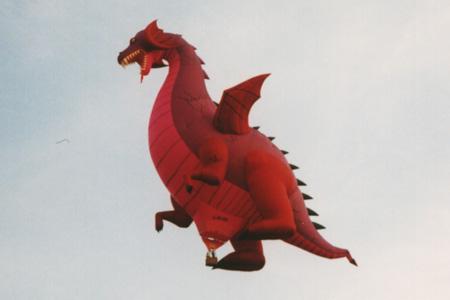 VM1993 49