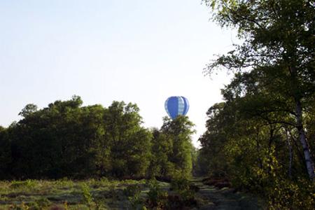 0528 landskab