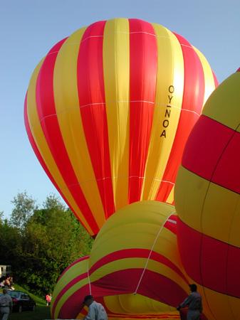 Aftenflyvning (14)