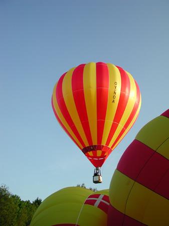 Aftenflyvning (17)