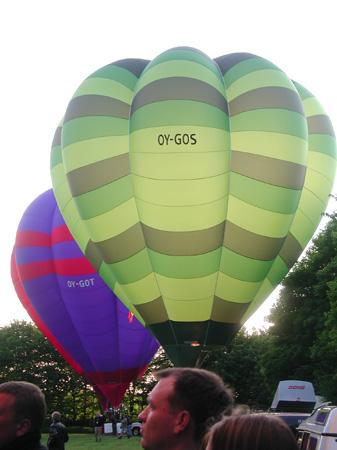 Aftenflyvning (29)