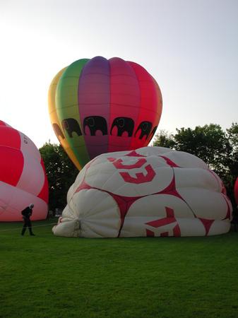 Aftenflyvning (41)