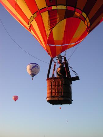 Eneste flyvning! (10)