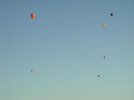 Eneste flyvning! (15)
