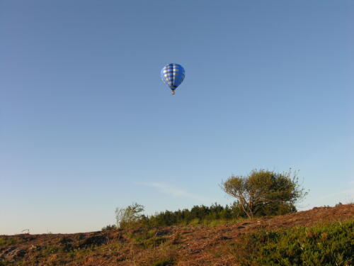 DSCN2204