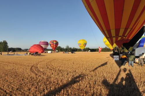 TJO 3347