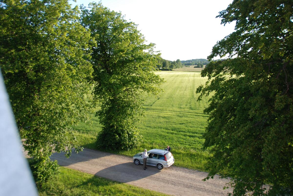 DSC 0270