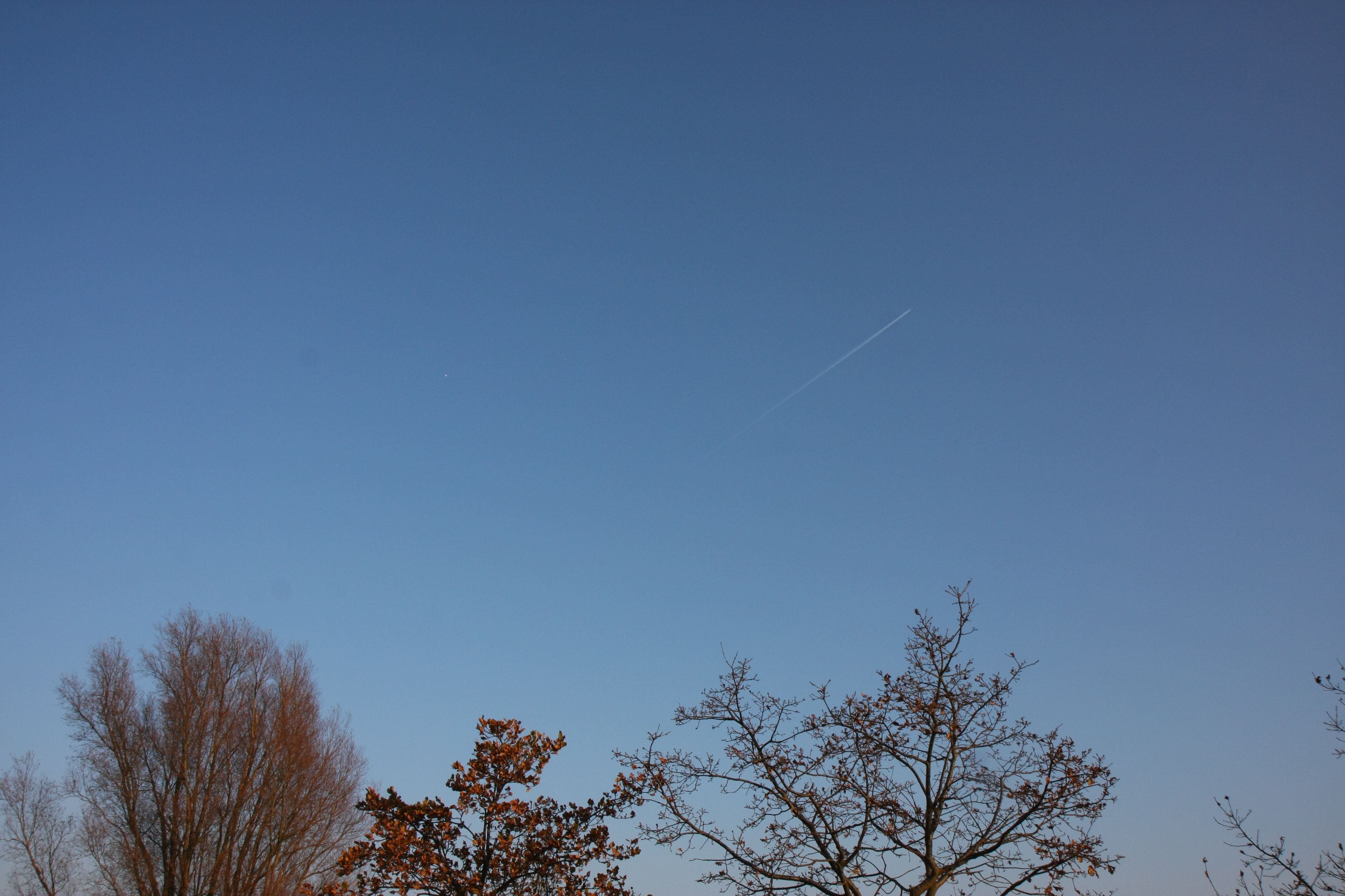 IMG 8883