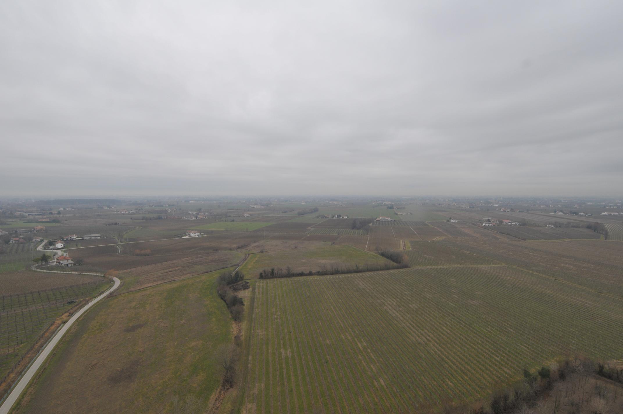 DSC 5346