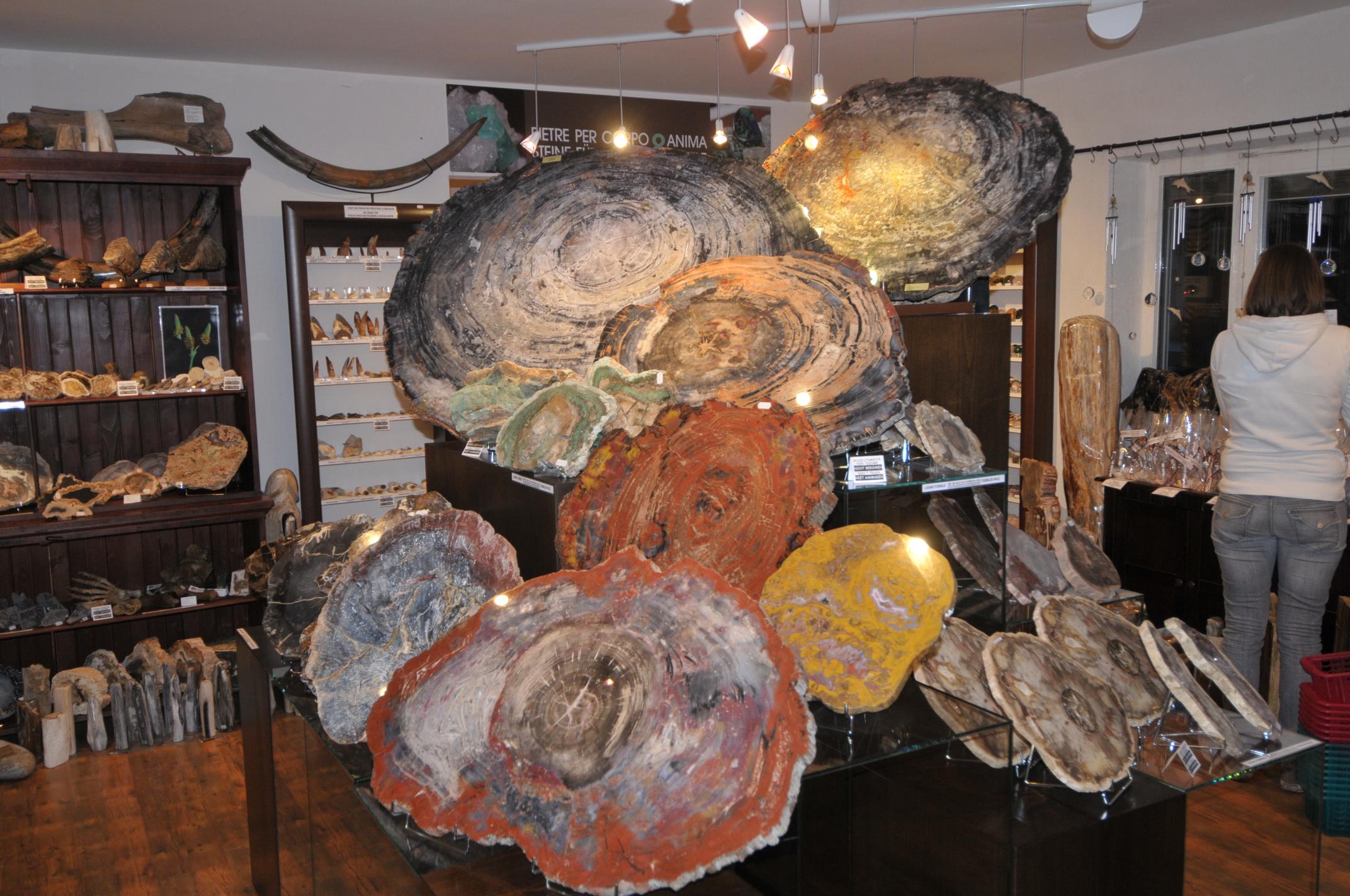 DSC 5472