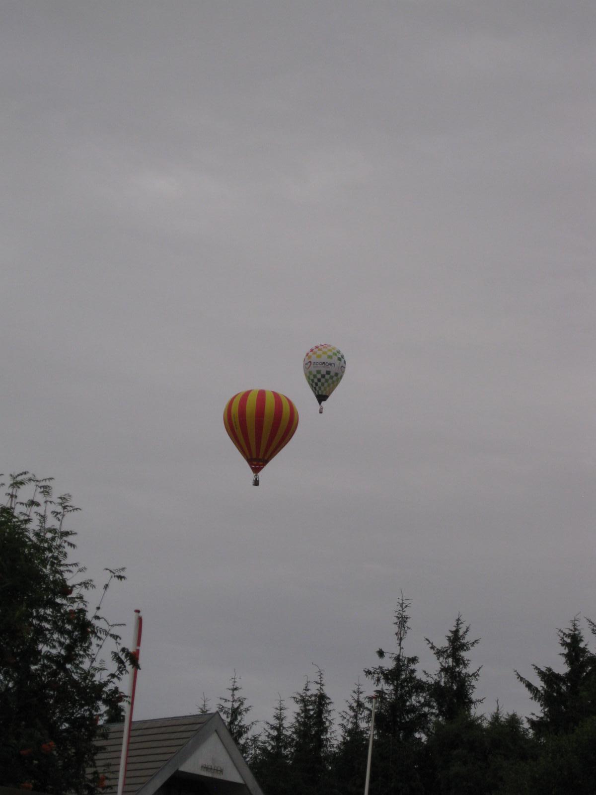 IMG 0006