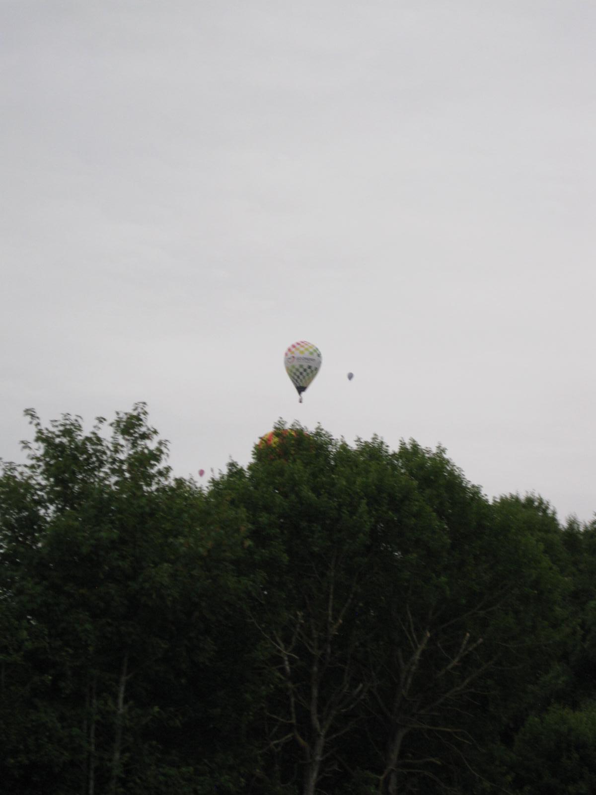 IMG 0009