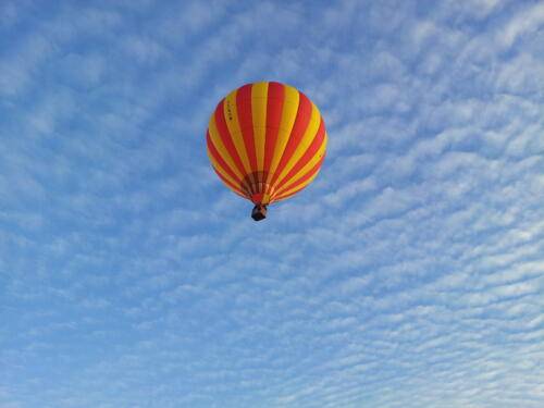 OY-NOW 17 nov 2013