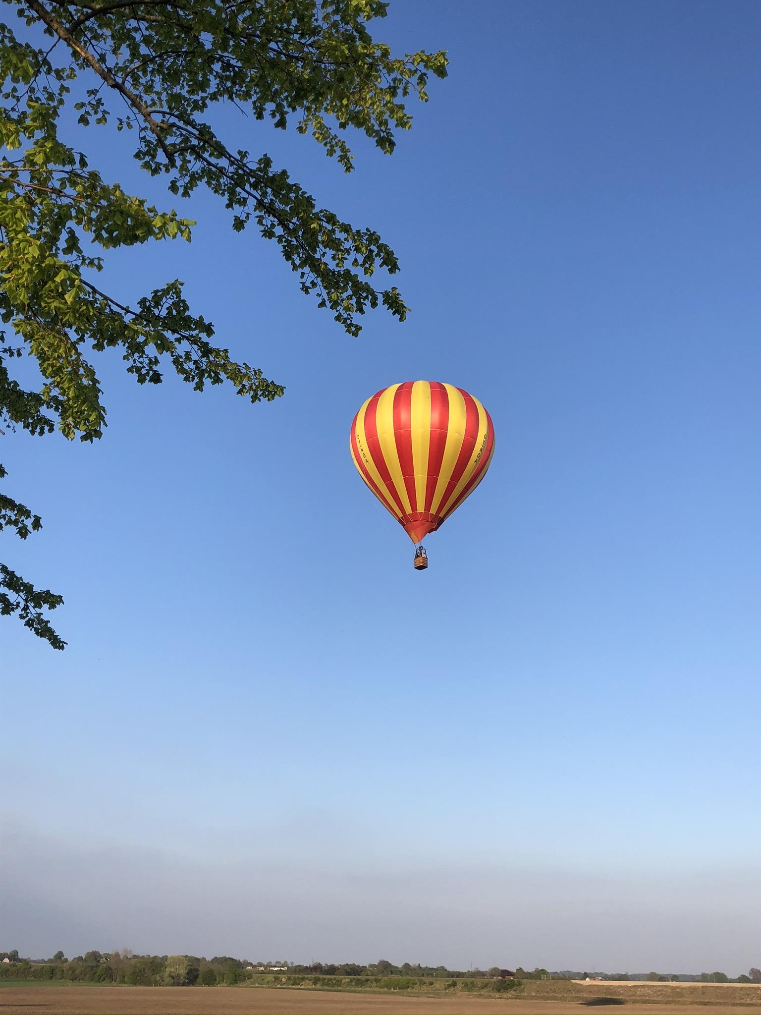 IMG 0086